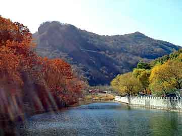 新澳天天开奖资料大全旅游团，刘野